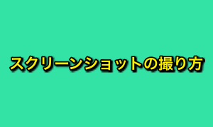 ショット スクリーン 楽天 ミニ