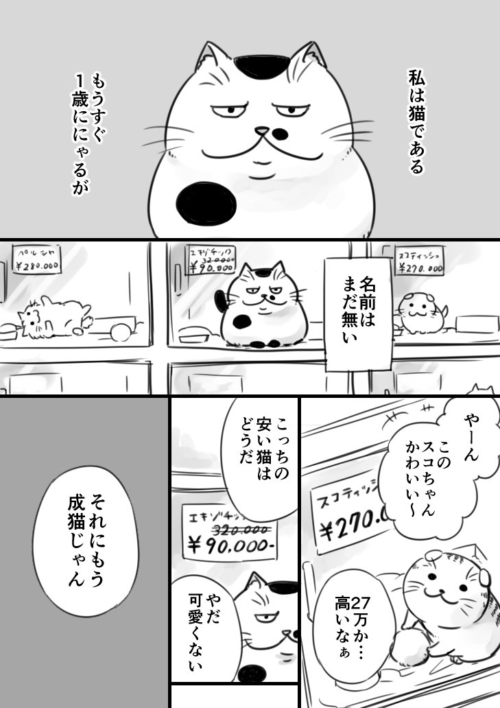 Twitterで人気の猫漫画 おじさまと猫 がマンガアプリ マンガｕｐ で連載開始 スマホアプリライフ