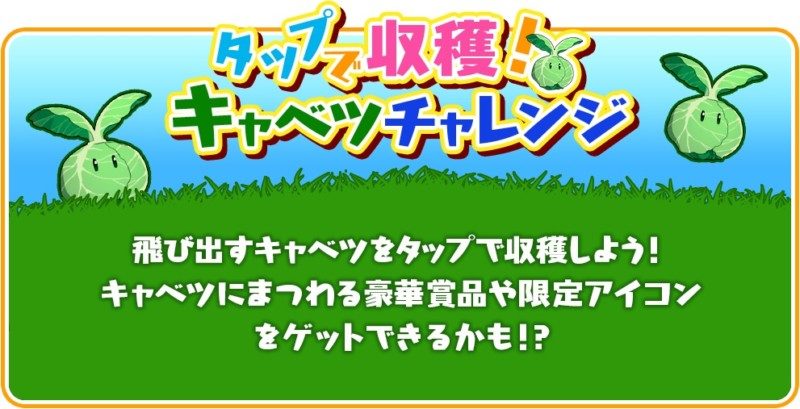 「キャベツ大収穫キャンペーン」